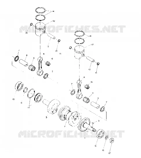 PISTON AND VILEBREQUIN (4909530953019A)