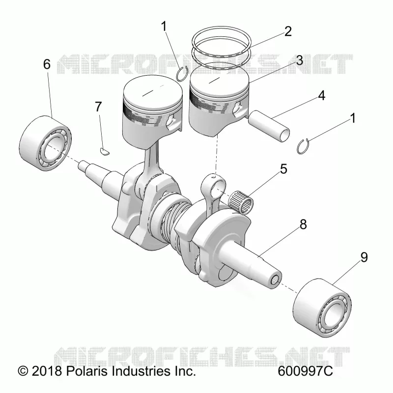 ENGINE, PISTON AND VILEBREQUIN