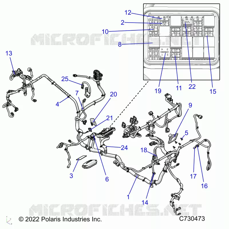 ELECTRICITE, WIRE HARNESS