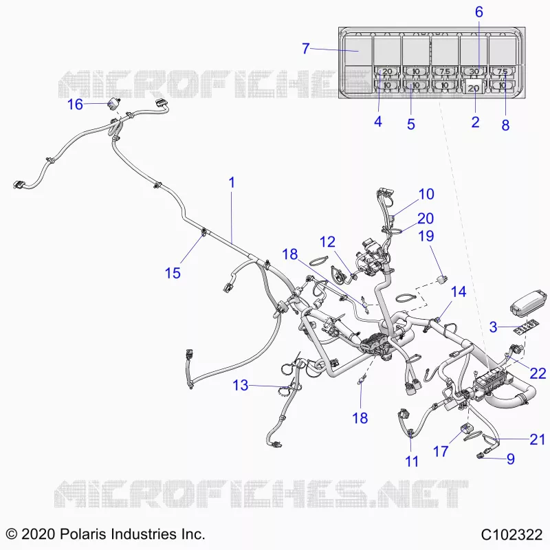 ELECTRICITE, HARNESS