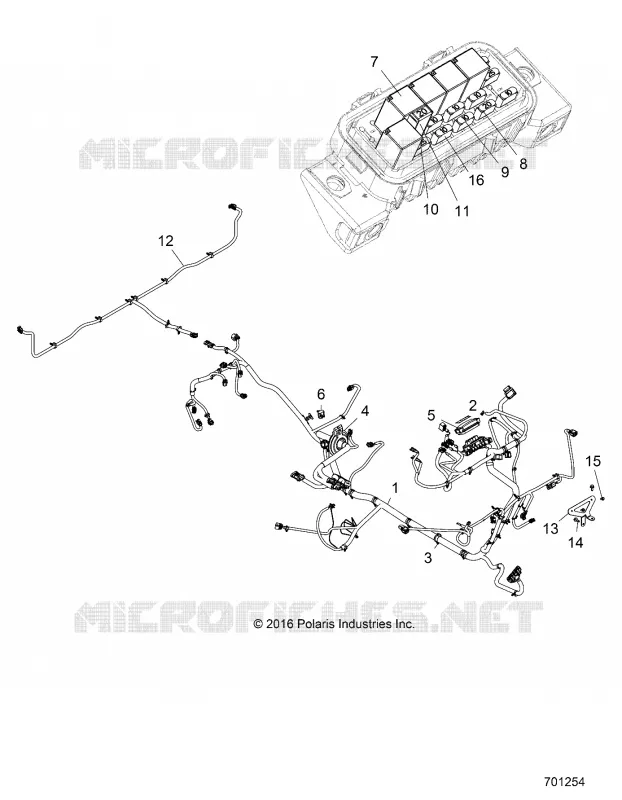 ELECTRICITE, HARNESS
