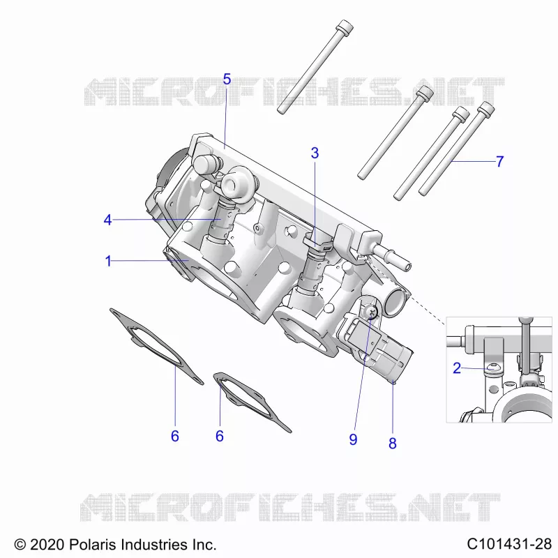 ENGINE, CORPS DE PAPILON