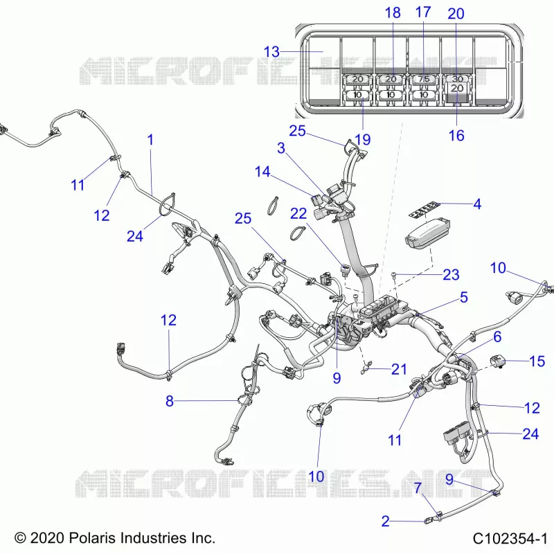 ELECTRICITE, HARNESS
