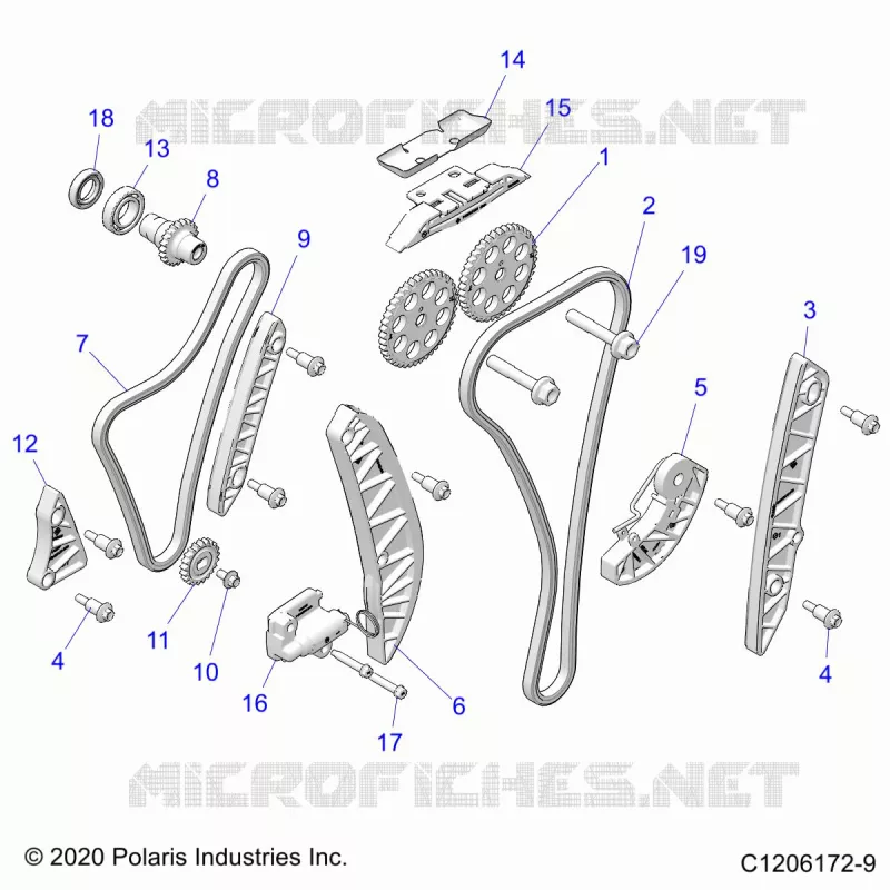 ENGINE, TIMING AND OIL CHAINE DRIVES