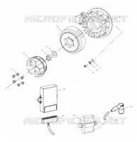 STATOR