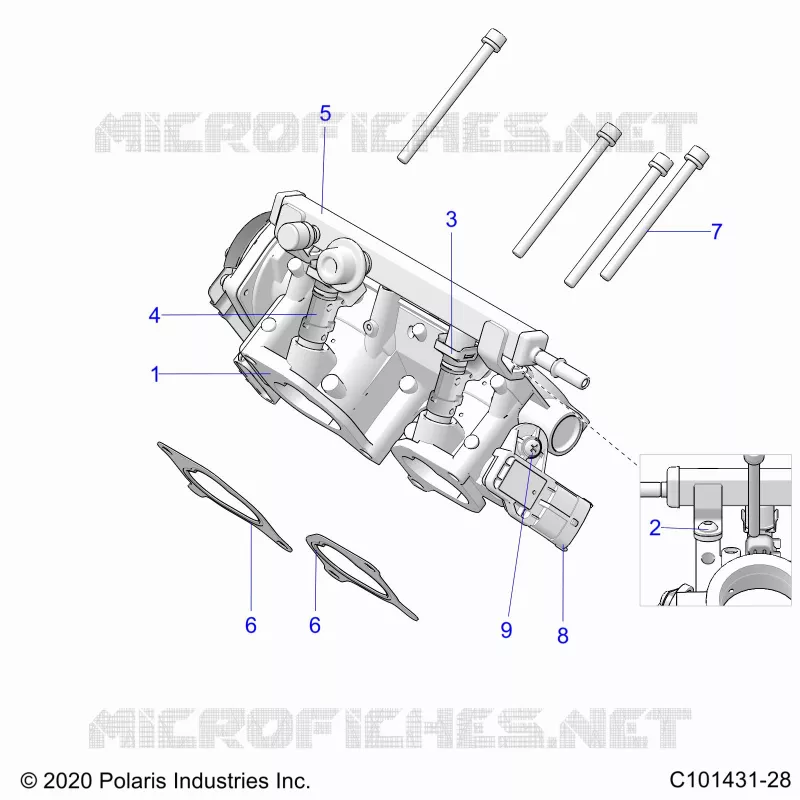 ENGINE, CORPS DE PAPILON