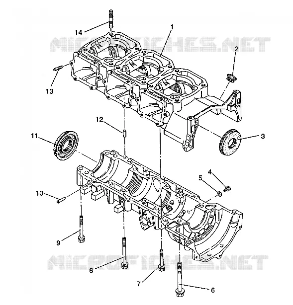CARTERS MOTEUR ASSEMBLY Storm/0932770 and Storm SKS/0932570 (4923032303028A)