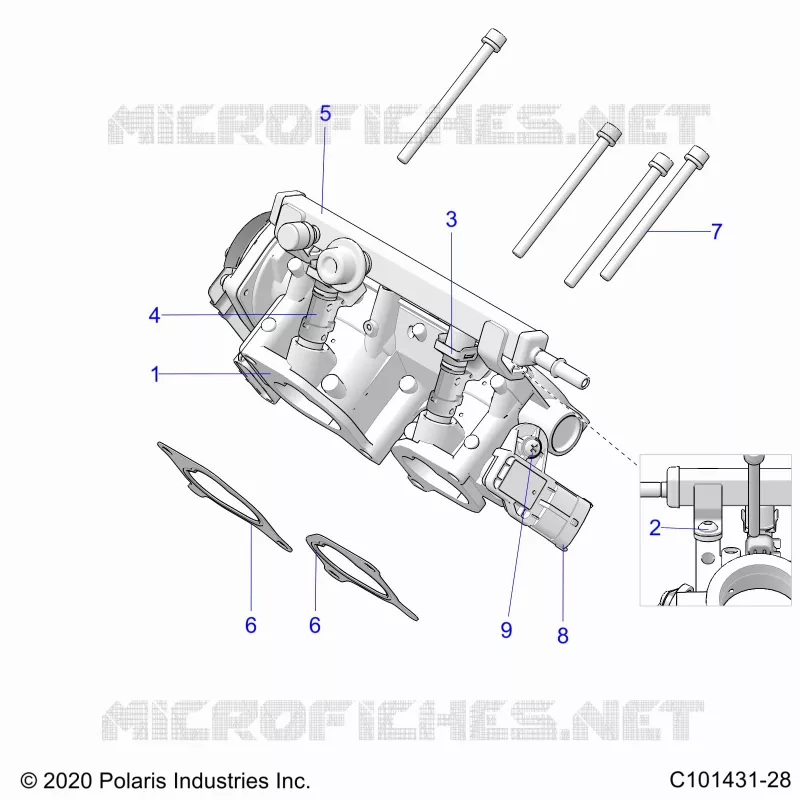 ENGINE, CORPS DE PAPILON