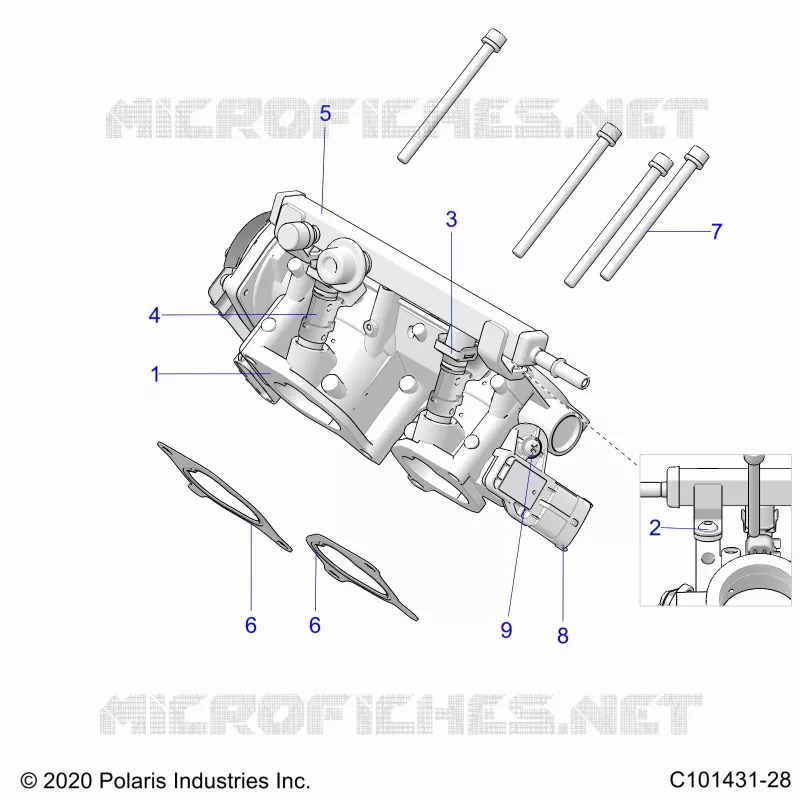 ENGINE, CORPS DE PAPILON