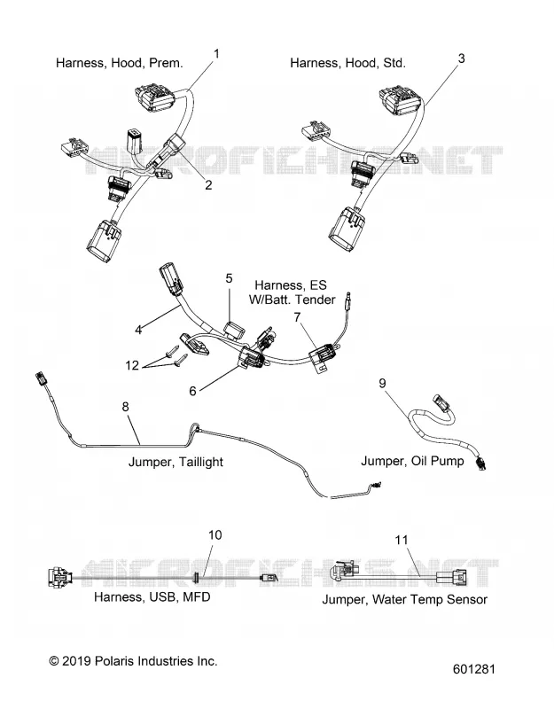 ELECTRICITE, JUMPERS/WIRE HARNESS