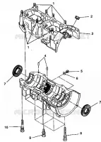 CARTERS MOTEUR ASSEMBLY 500 EFI 0942774 and  EFI SKS 0942574 (49274127410033)