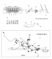 ELECTRICITE, HARNESS